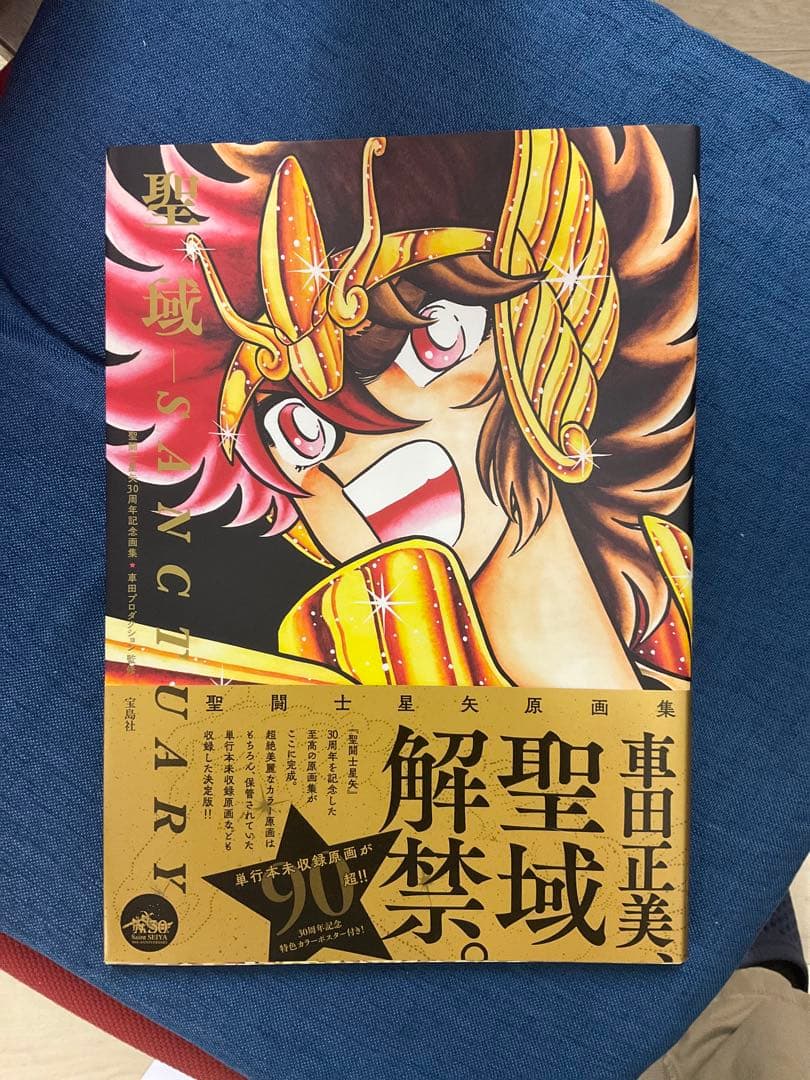 聖闘士星矢 30周年記念 画集 聖域 SANCTUARY