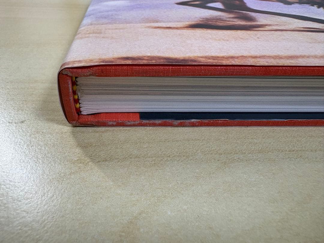 アート・デザイン・音楽 Richard Prince Lisa Phillips