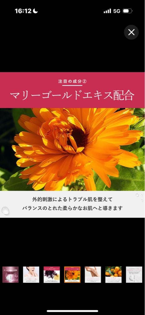 ♡期間限定sale★新品☆マリアギャラン5b 2個set限定価格○