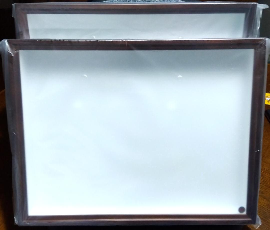 バードウイング社製中型ドイツ箱（新品２箱セット）