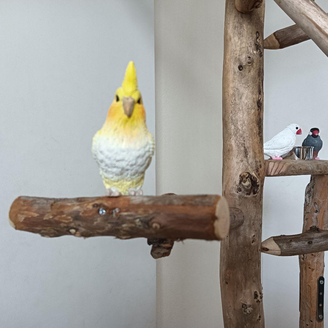 な バードアスレチックジム大型 天然木 自然木 流木 インコ おもちゃ
