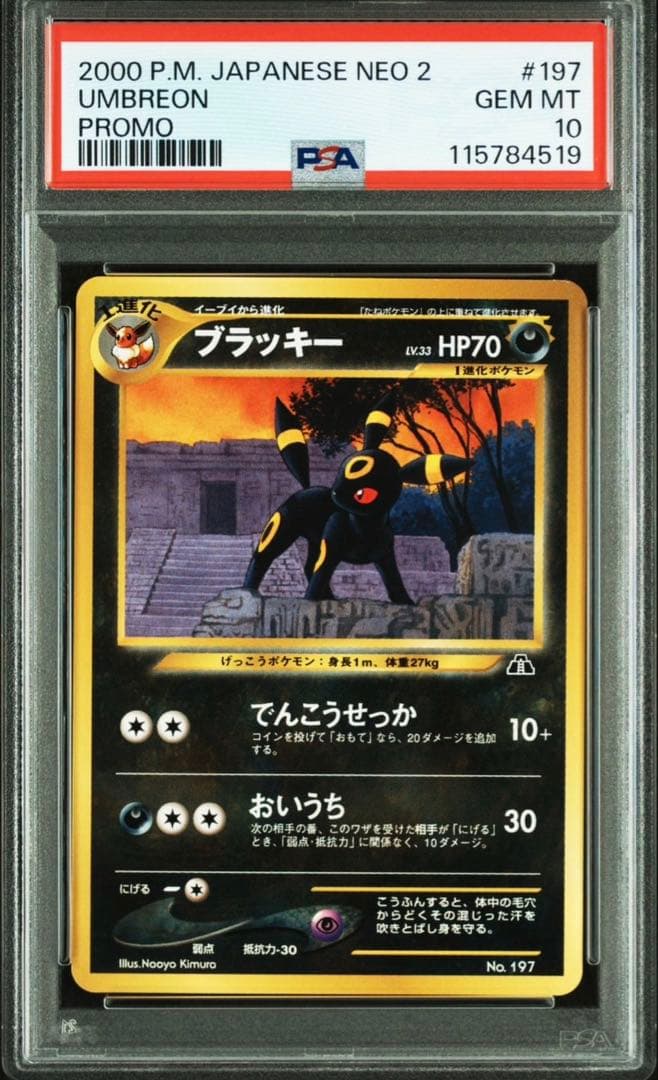 PSA10 ブラッキー_プレミアムファイル2 プロモ　ポケモンカード旧裏