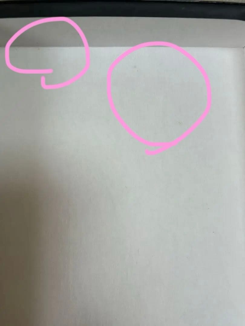 【収納ポーチ付き】Littmann Classic III 聴診器 　リットマン