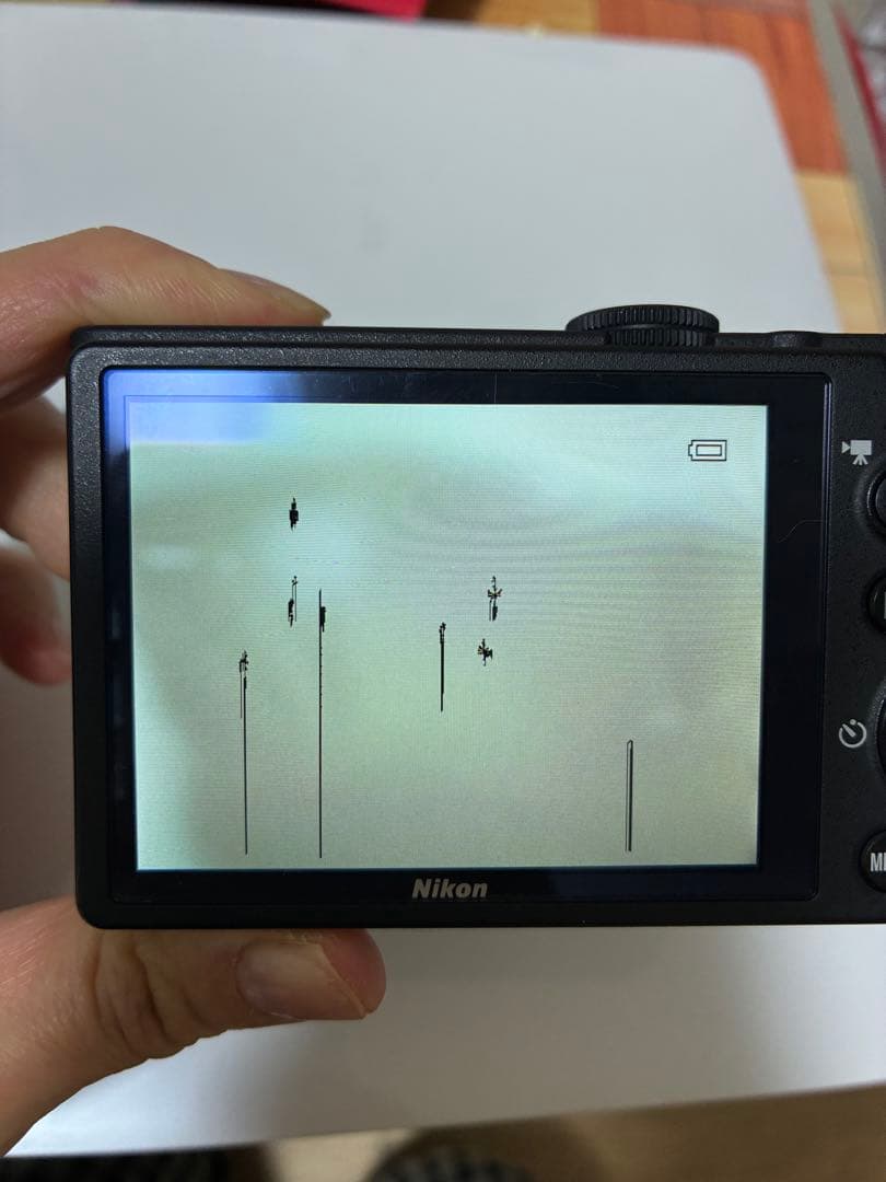 Nikon P310 動作確認済み　画面傷あり　現像には支障なし