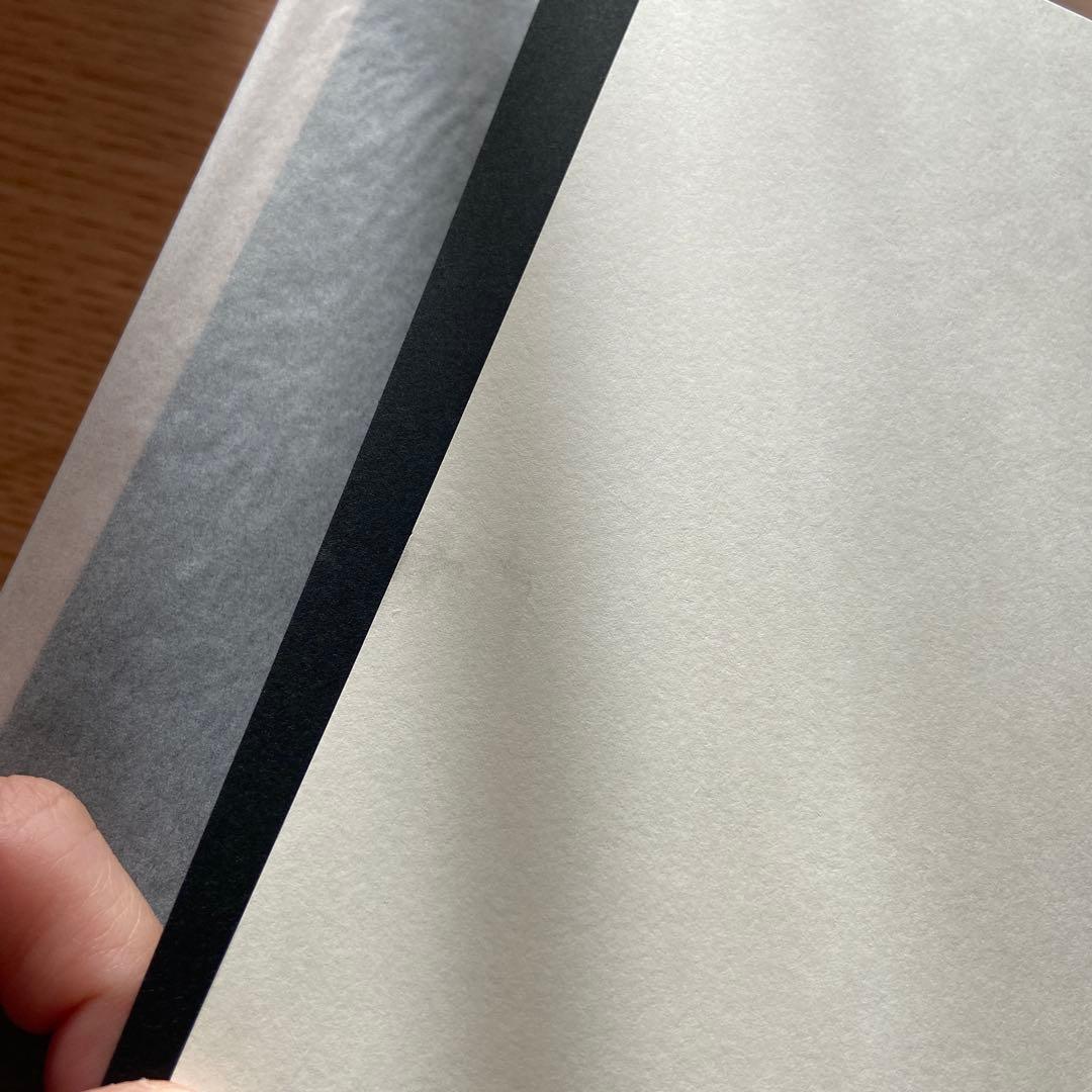 【絶版】ネクロフィリア ガブリエル・ヴィットコップ 国書刊行会