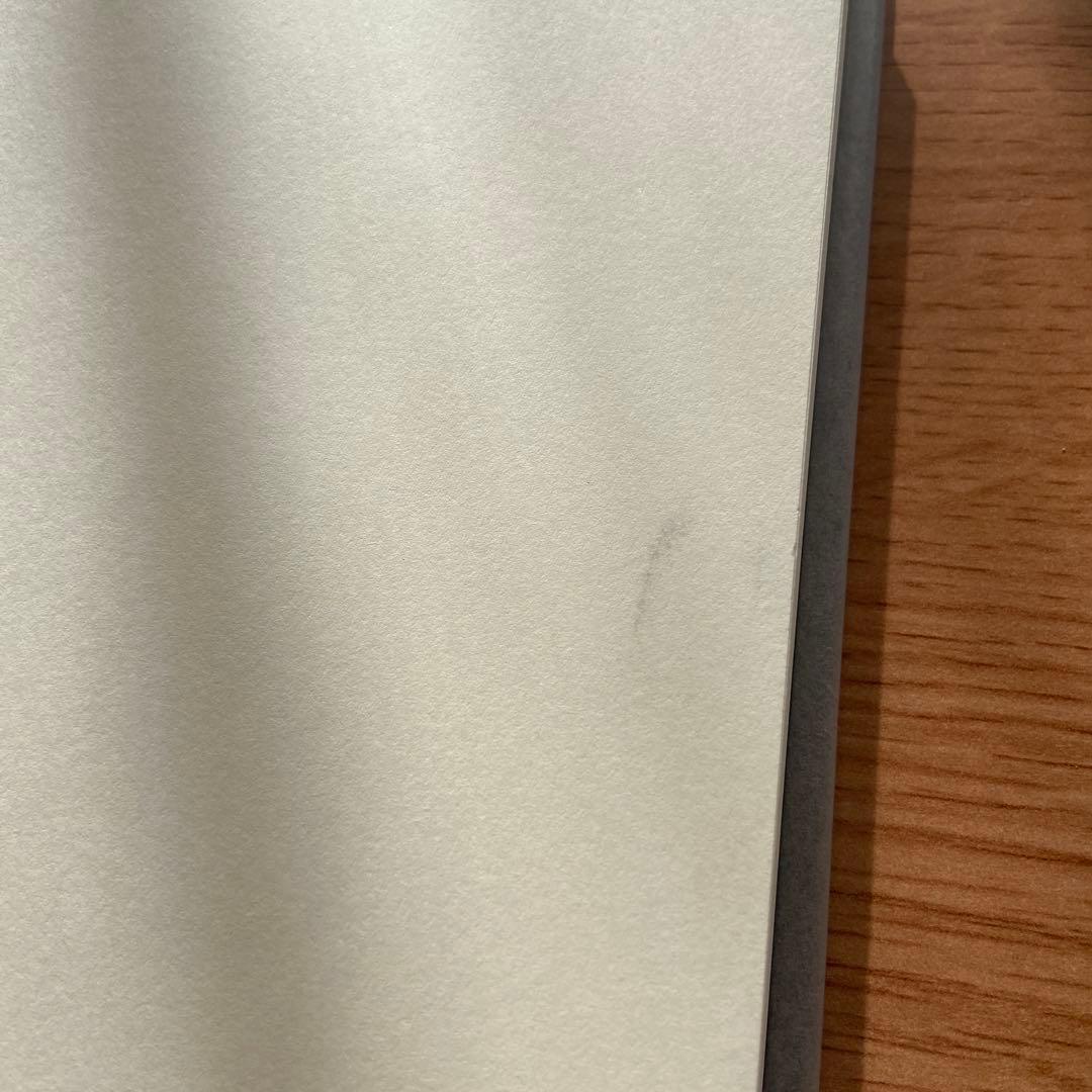 【絶版】ネクロフィリア ガブリエル・ヴィットコップ 国書刊行会