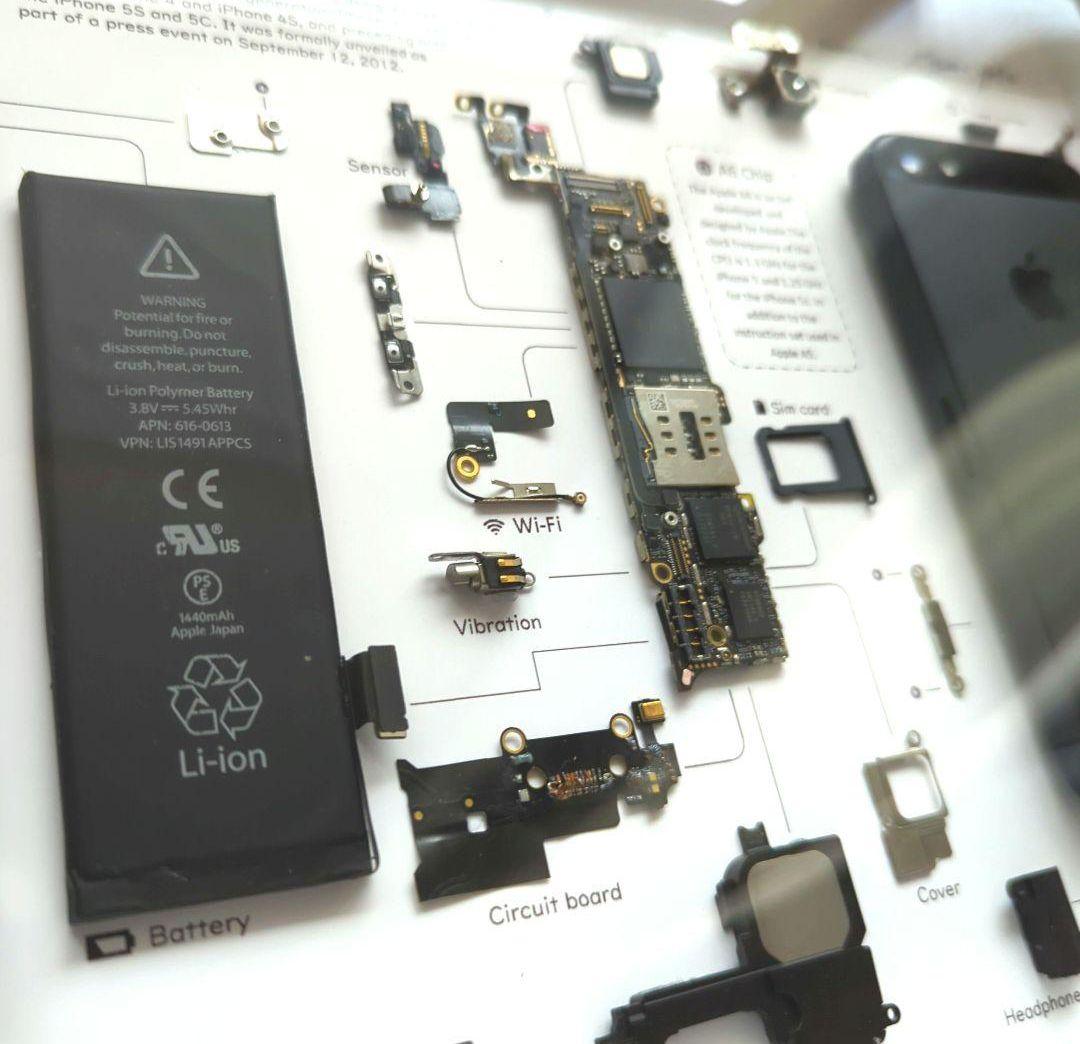 iPhone5 標本アート グレー