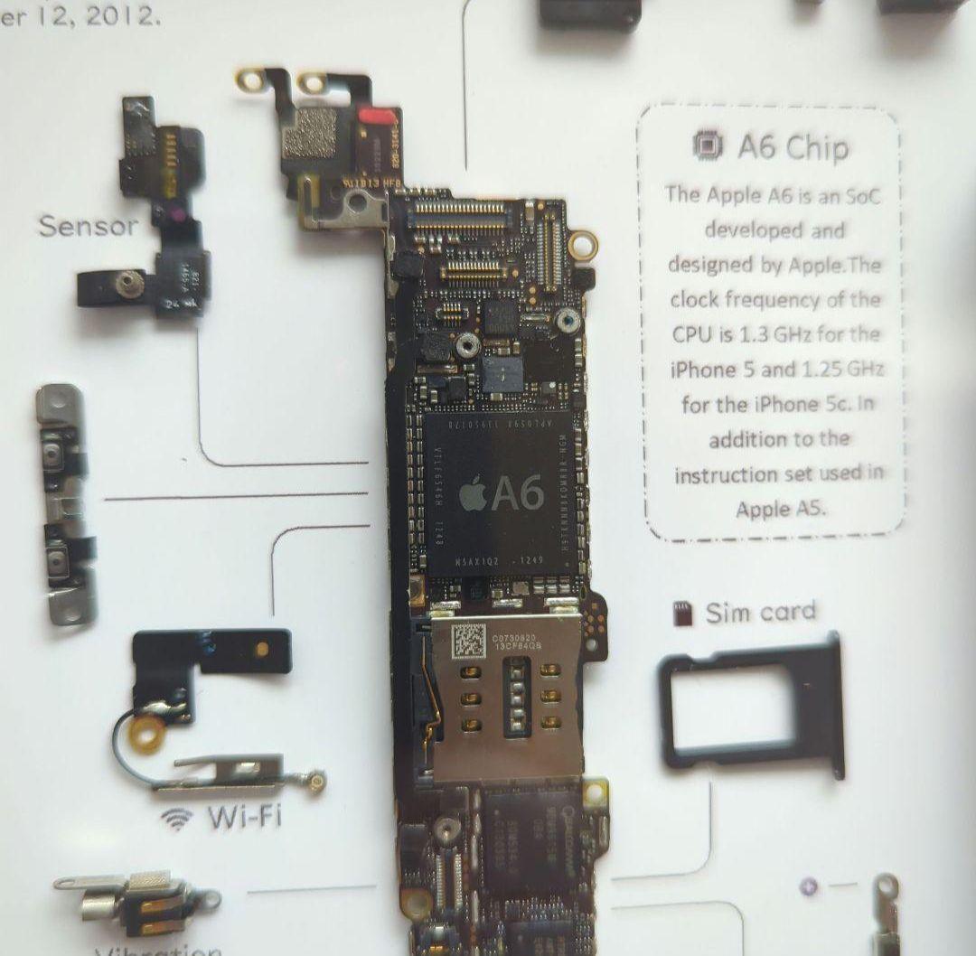 iPhone5 標本アート グレー