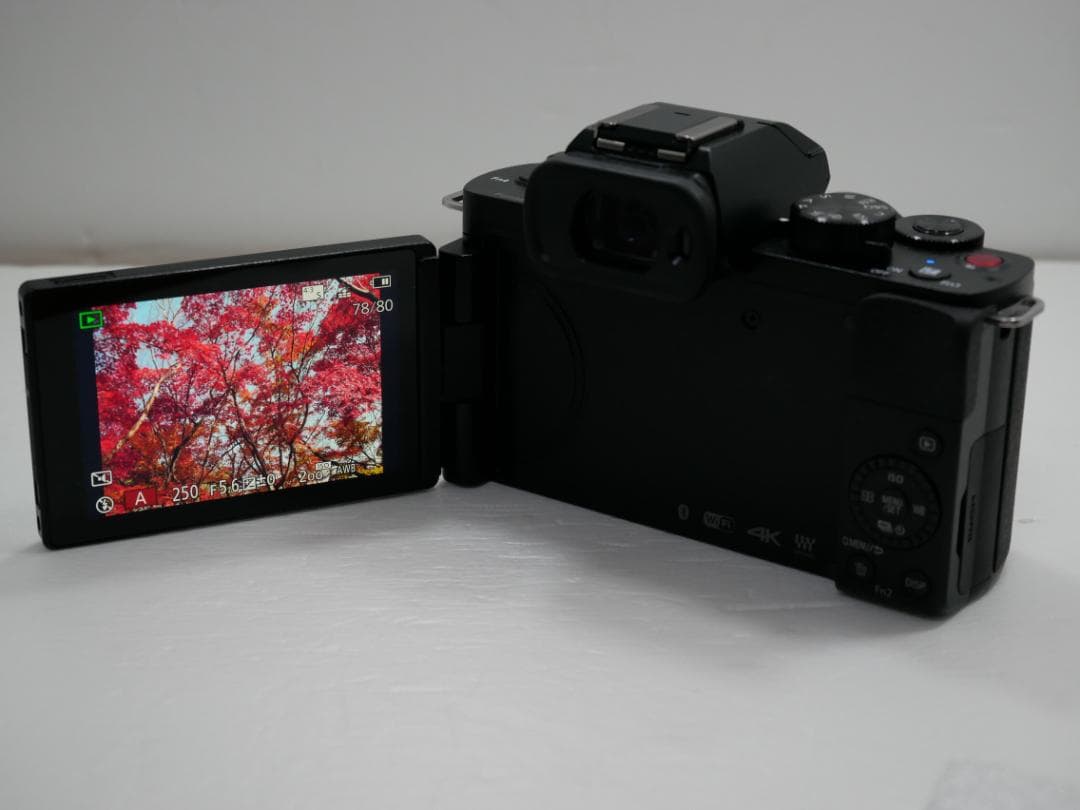 ★★美品・完動品★パナソニックLUMIX DC-G100とレンズ２本付★★