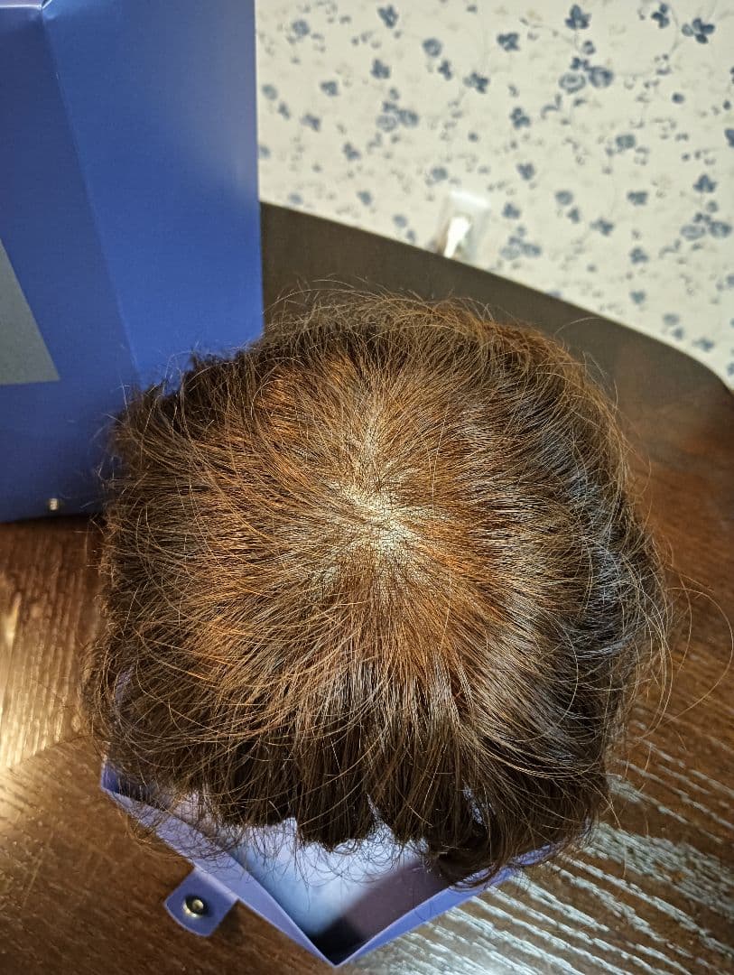 本日限定‼️価格変更中。 フォンテーヌ　ハーフウィッグ　シフォレ