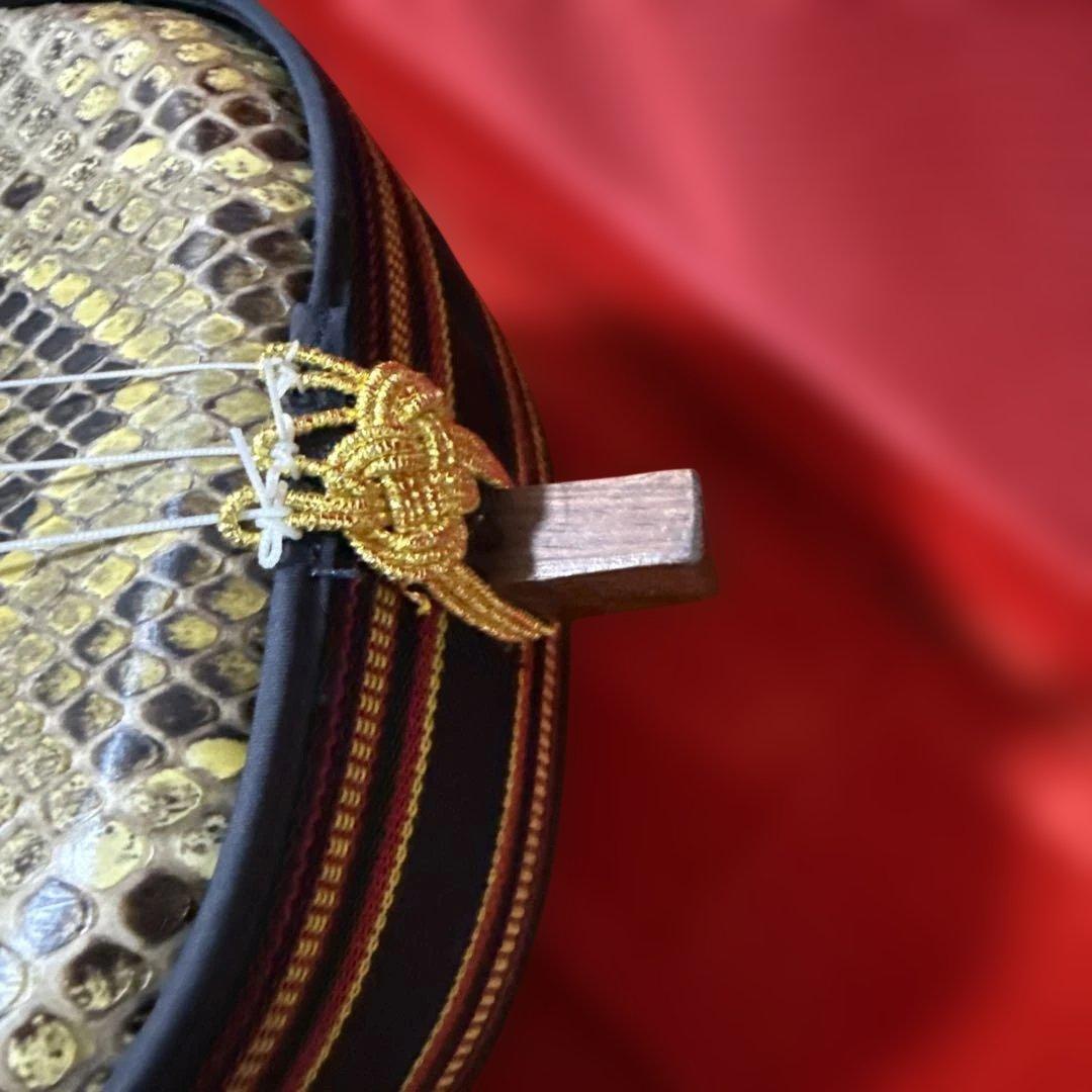 沖縄　三線　弦楽器　ソフトケース付き　リュックタイプ