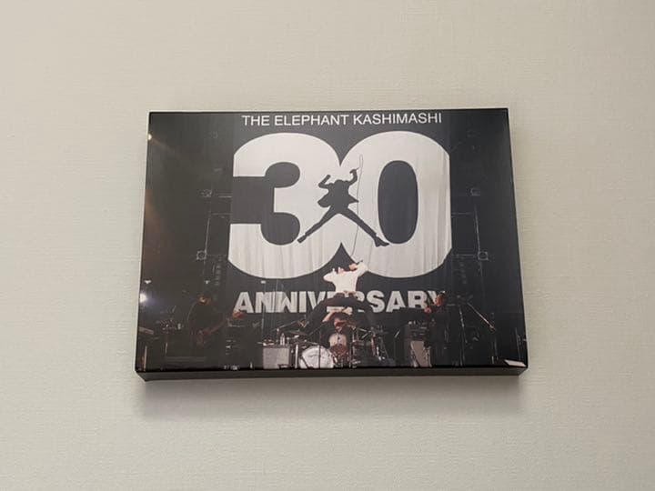 エレファントカシマシ / 30th ANNIVERSARY TOUR DVD