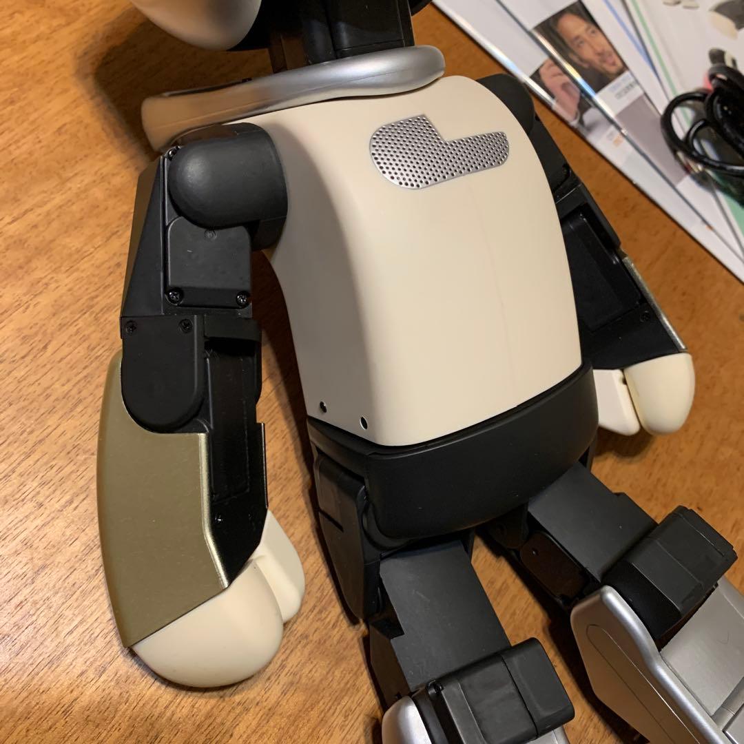 ロビ (ココロ2DX版)バッテリー不要、外部電源完動品　オーナー愛称登録します。