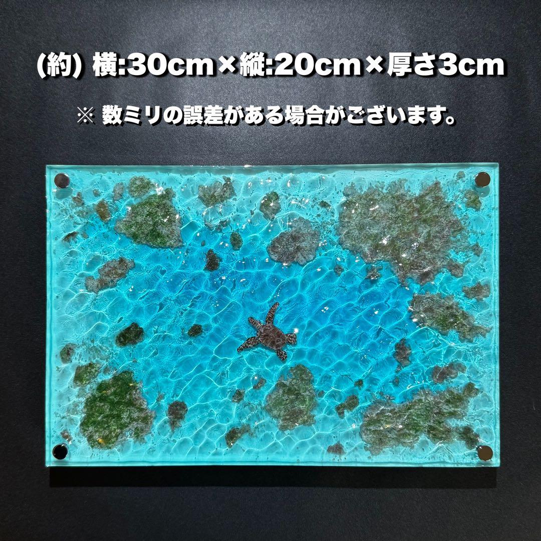 レジンアート オーシャンアート ウミガメ ホヌ 海 レジン アートパネル 壁掛