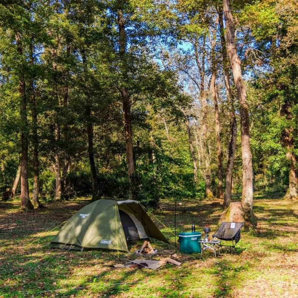 Coleman ツーリングドーム st キャンプ テント 1〜2人用 コールマン