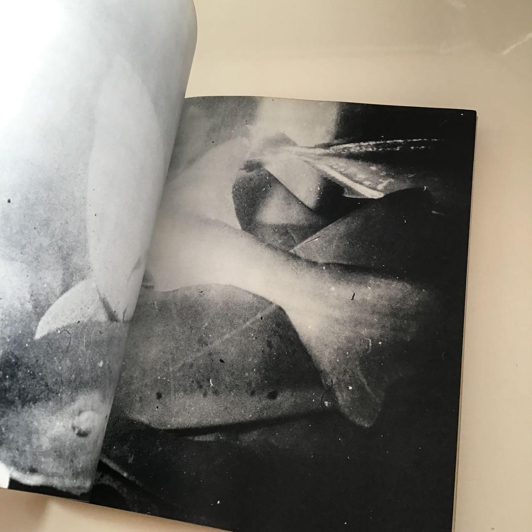 【メ】写真よさようなら 森山大道