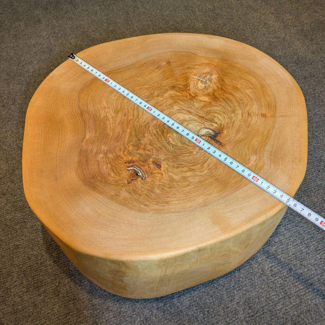 オールド　ウダイカンバ　切り株　輪切り　高さ約15㎝