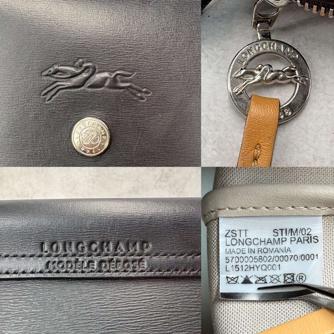 【美品】ロンシャン ル プリアージュ エナジー ハンドバッグ