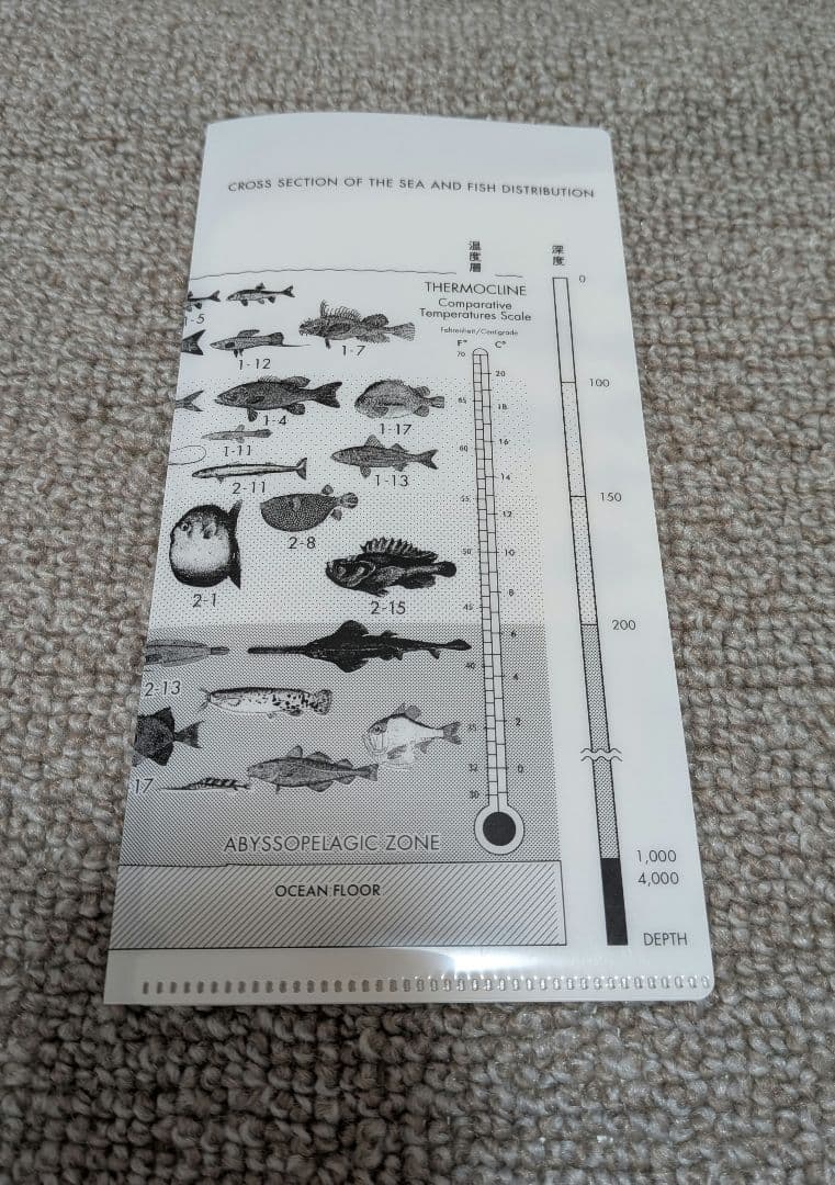 【美品】サカナクション 魚図鑑 完全生産限定盤プレミアムBOX（BOXなし）