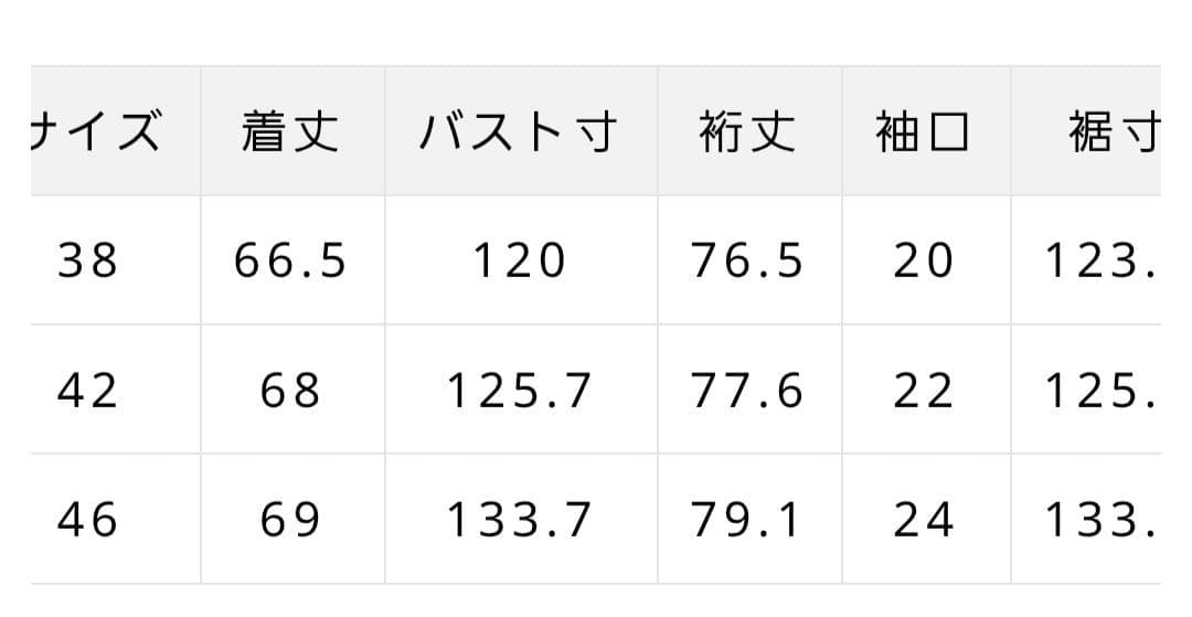新品 オーバーサイズパーカー ローズティアラ 大きいサイズ42