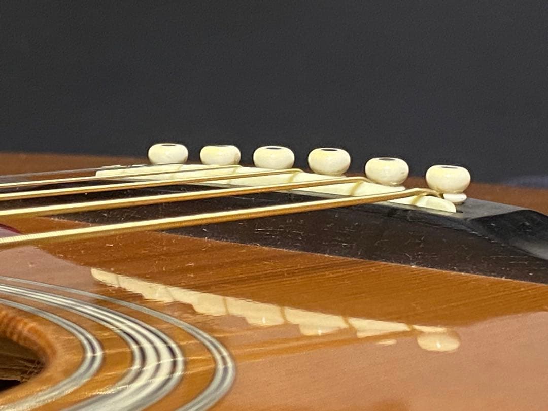 初期型RECORDING KING RO-126-FE オール単板 000タイプ