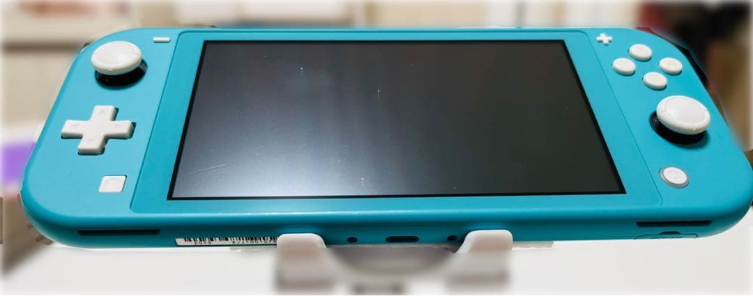Nintendo Switch Lite 本体のみ