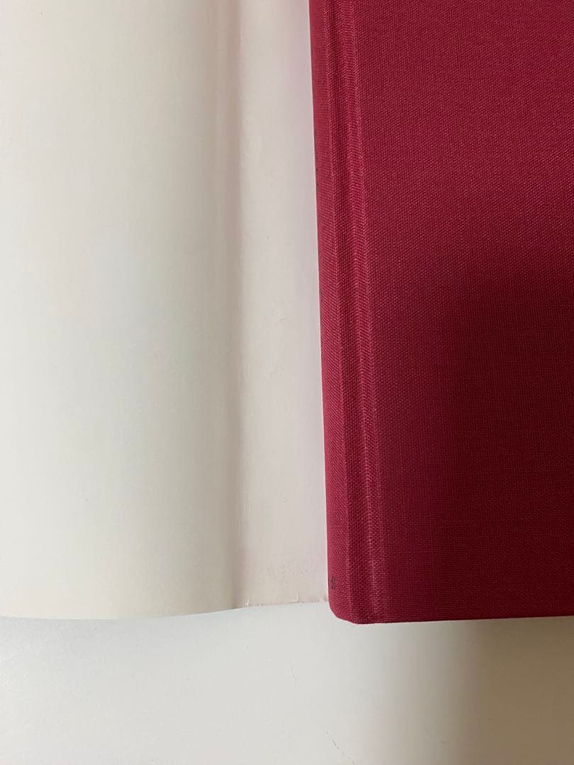 ソールライター 写真集 『Early Color』