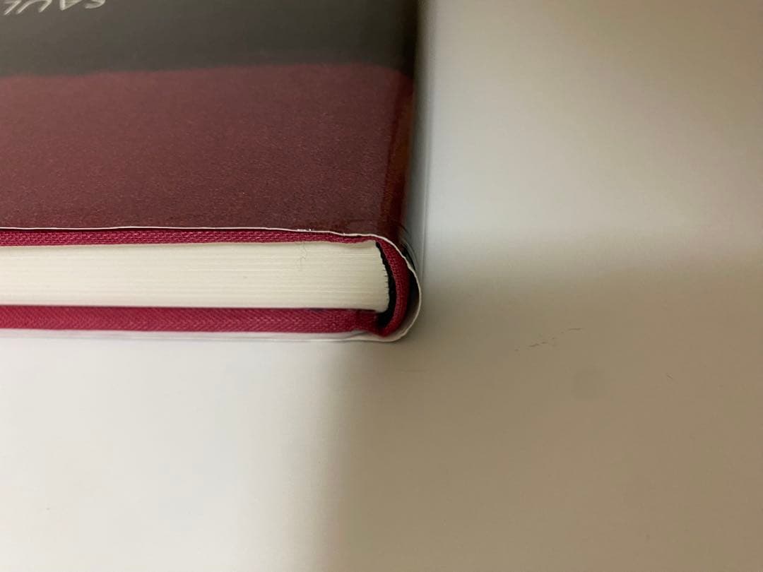 ソールライター 写真集 『Early Color』