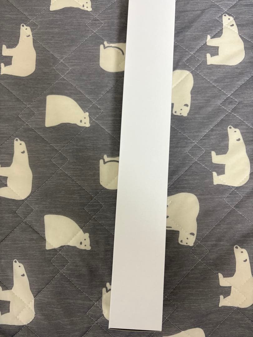 即完売！oasis Live'25日本公演限定ポスターA2サイズ10/25東京