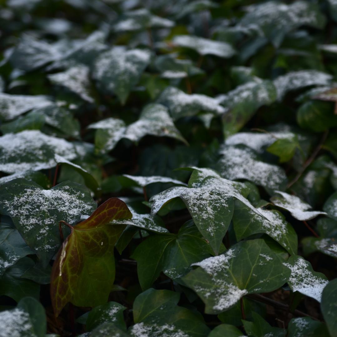 実用品 Nikon デジタル一眼レフD750 TAMRON 28-75mm付き