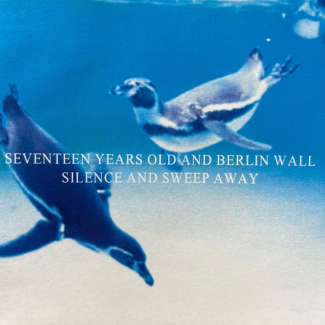17歳とベルリンの壁 沈黙と払拭 廃盤