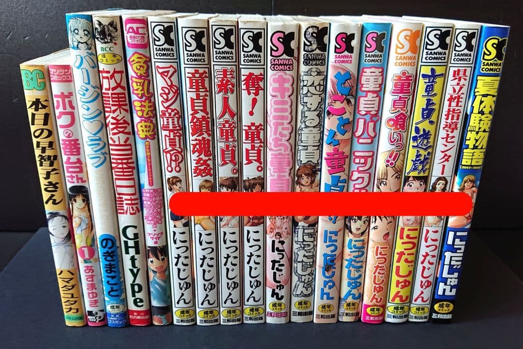 にったじゅん12冊＋他5冊 まとめセット