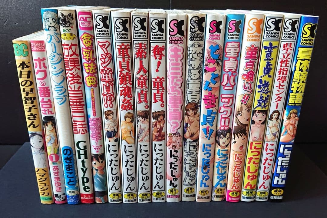 にったじゅん12冊＋他5冊 まとめセット