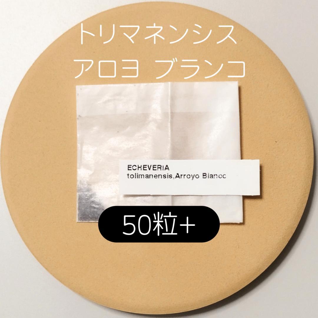 ゆゆ様 リクエスト 8点 まとめ商品