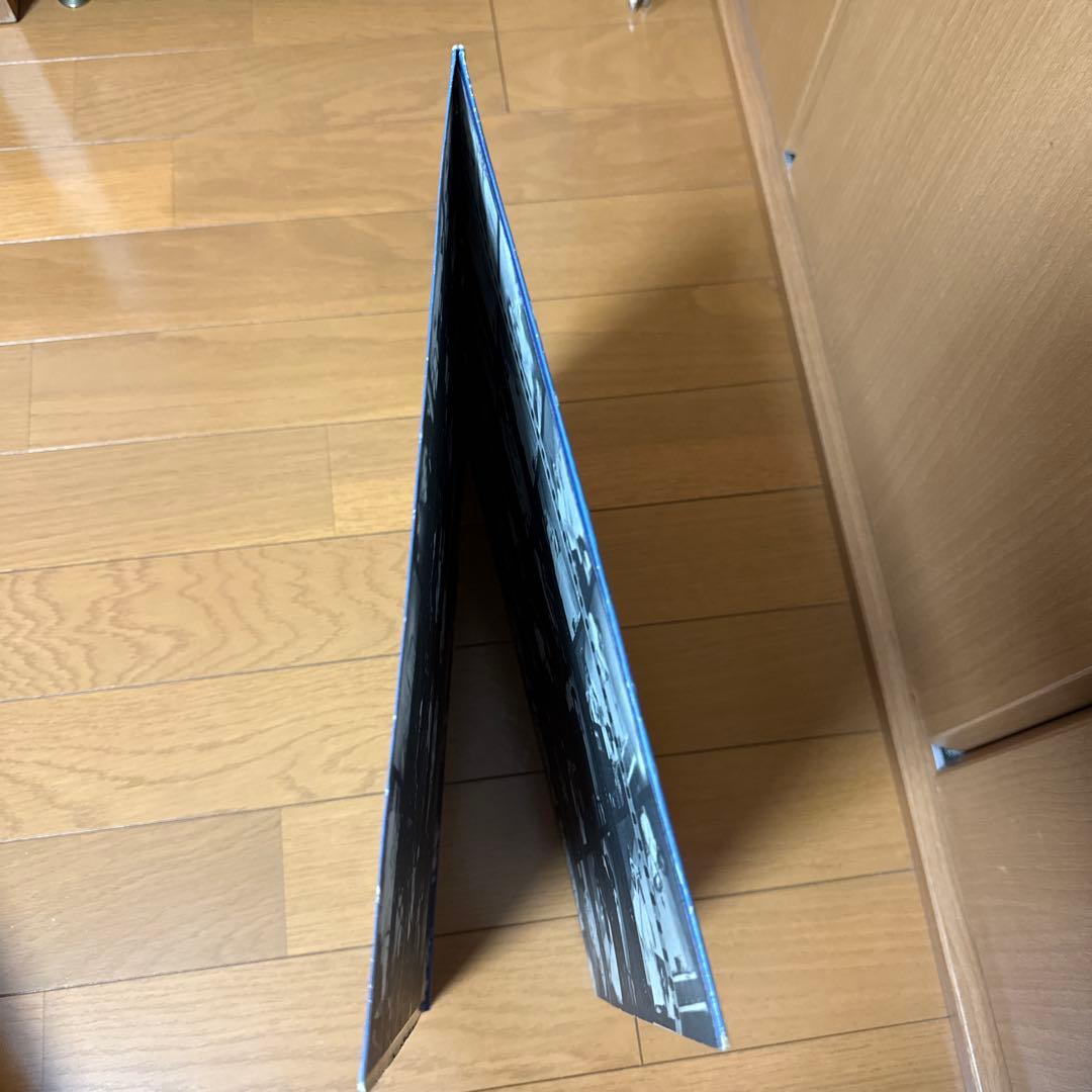 ファラオサンダース Love In Us All USオリジナル盤 レコード