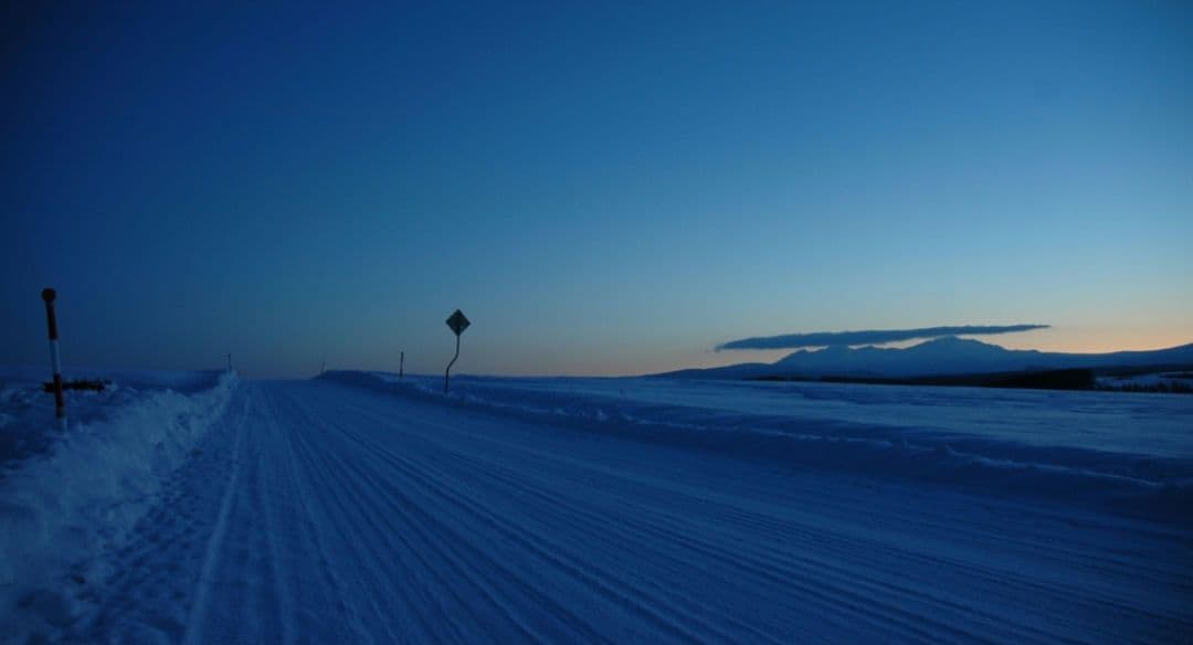 ねい様 NIKON　D70　広角から中望遠　初心者　一眼レフ⚡️ニコン⚡️