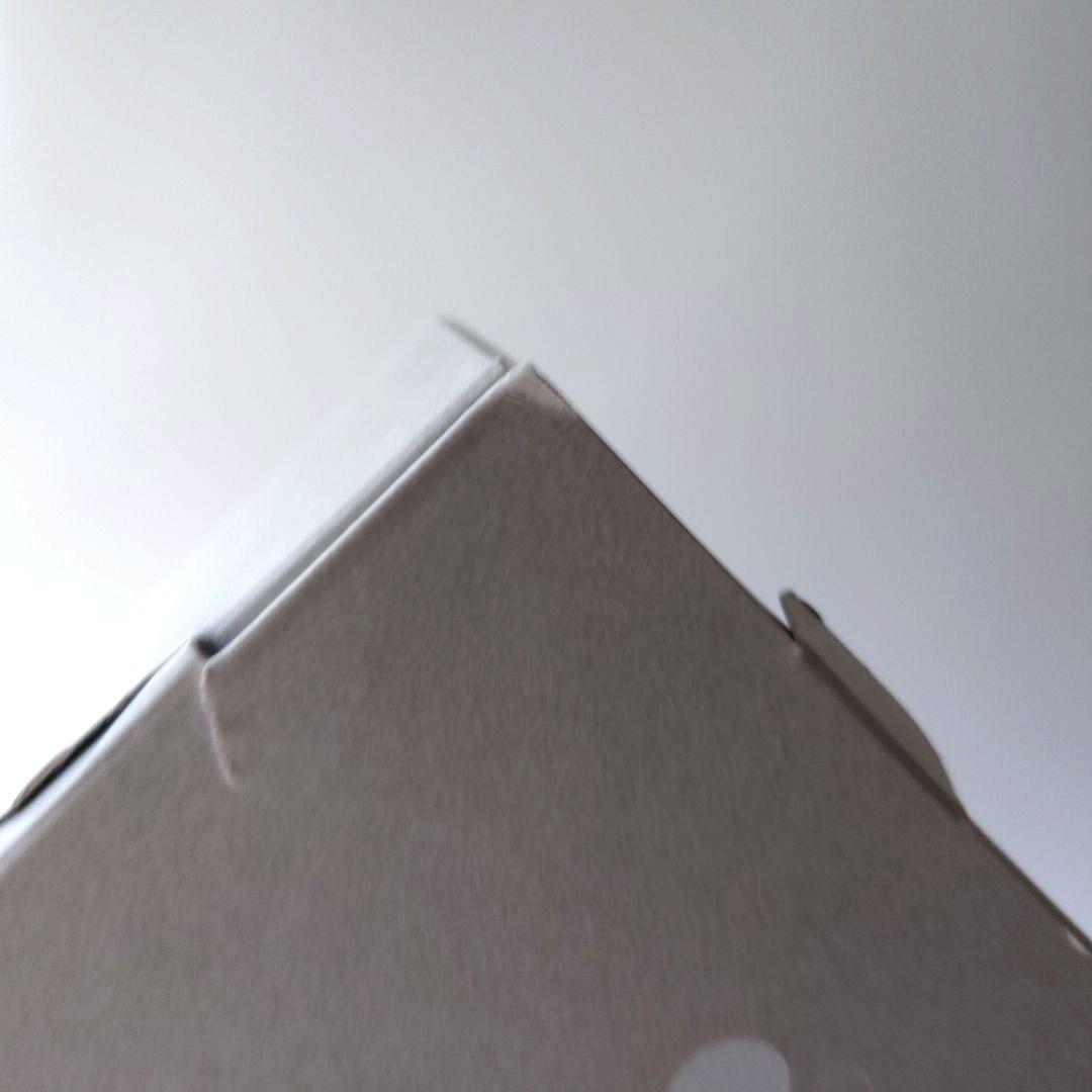 ノルディカニッセ　イルムス　2023　ニッセ