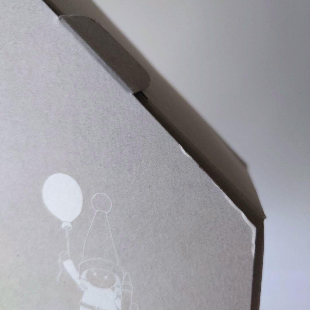 ノルディカニッセ　イルムス　2023　ニッセ