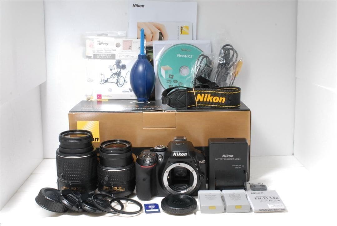 美品❤️ショット数3864回✨Nikon D5300ダブルズームセット 元箱付