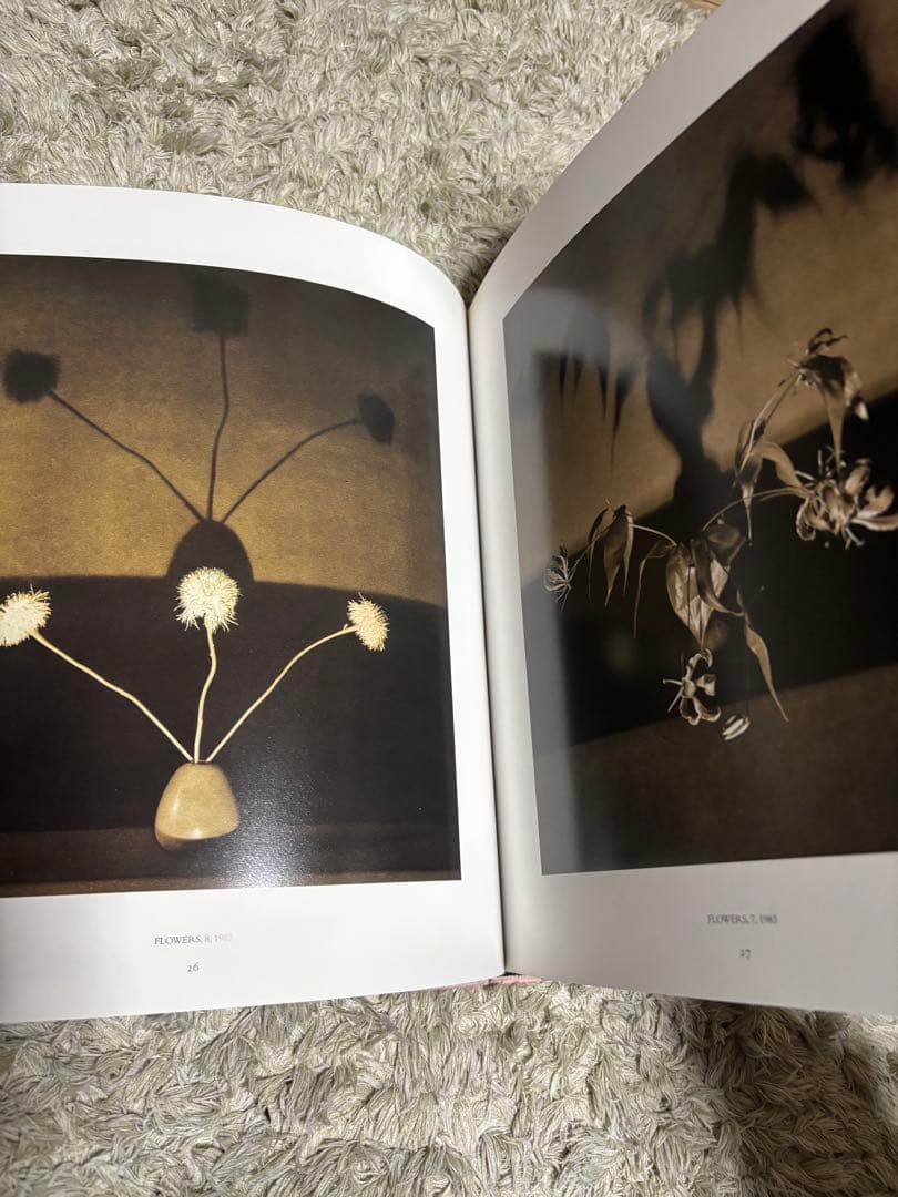 【希少】Pistils Robert Mapplethorpe 写真集