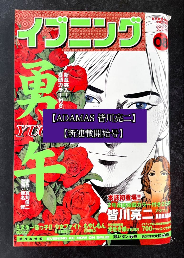 ●イブニング 2007年 8号 ●新連載 ADAMAS 皆川亮二●バガボンド予告