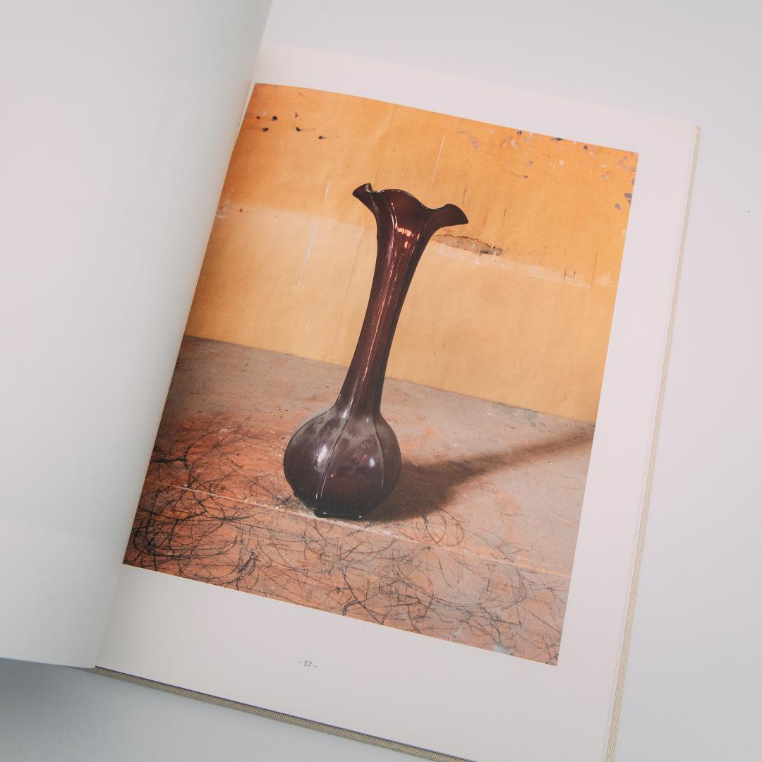 アート・デザイン・音楽 Joel Meyerowitz: Morandi's Objects