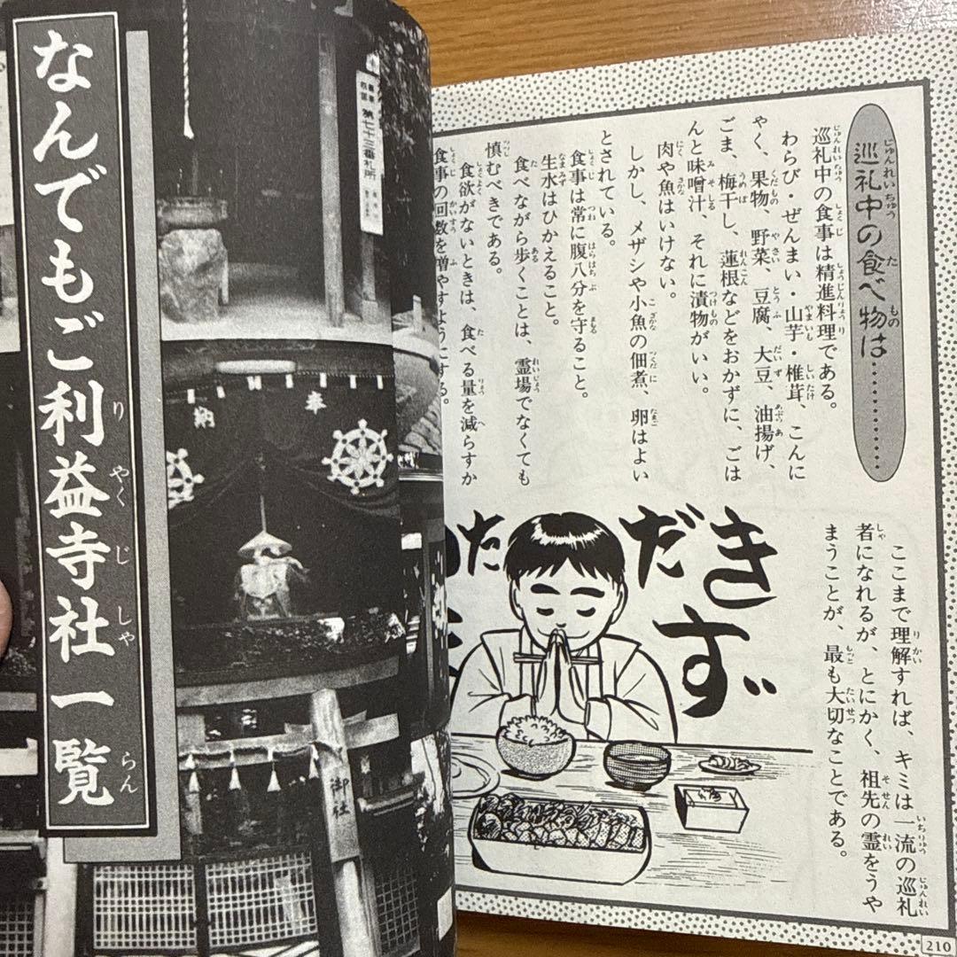 日本の霊場大百科 ケイブンシャの大百科 372 怪奇 怪奇系児童書 心霊 恐怖