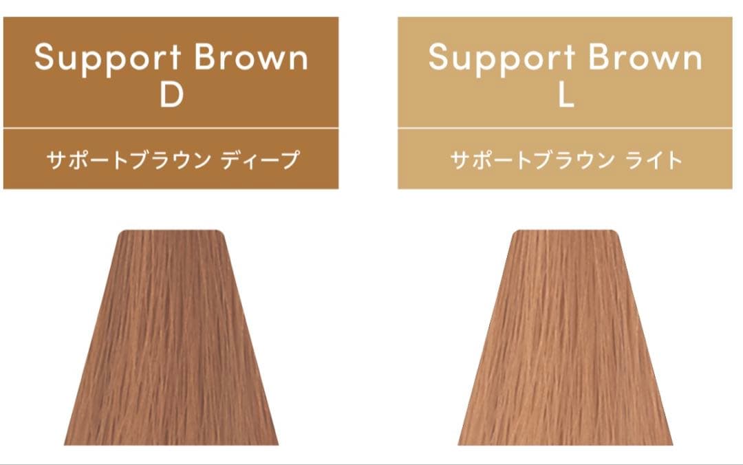 【人気色】トイロクション TOIROCTION カラー60本セット DEMI