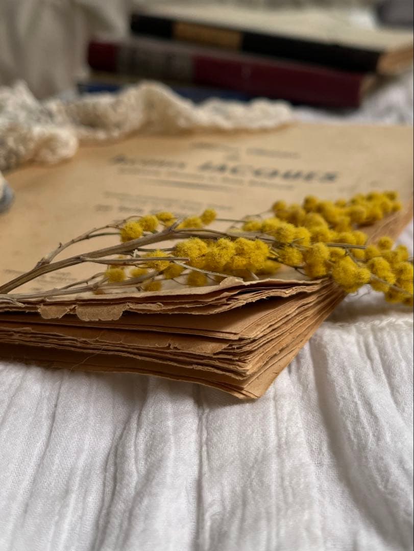 ◆SALE◆フランスアンティーク｜100年前古書教科書詩集手書きハガキ紙もの挿絵