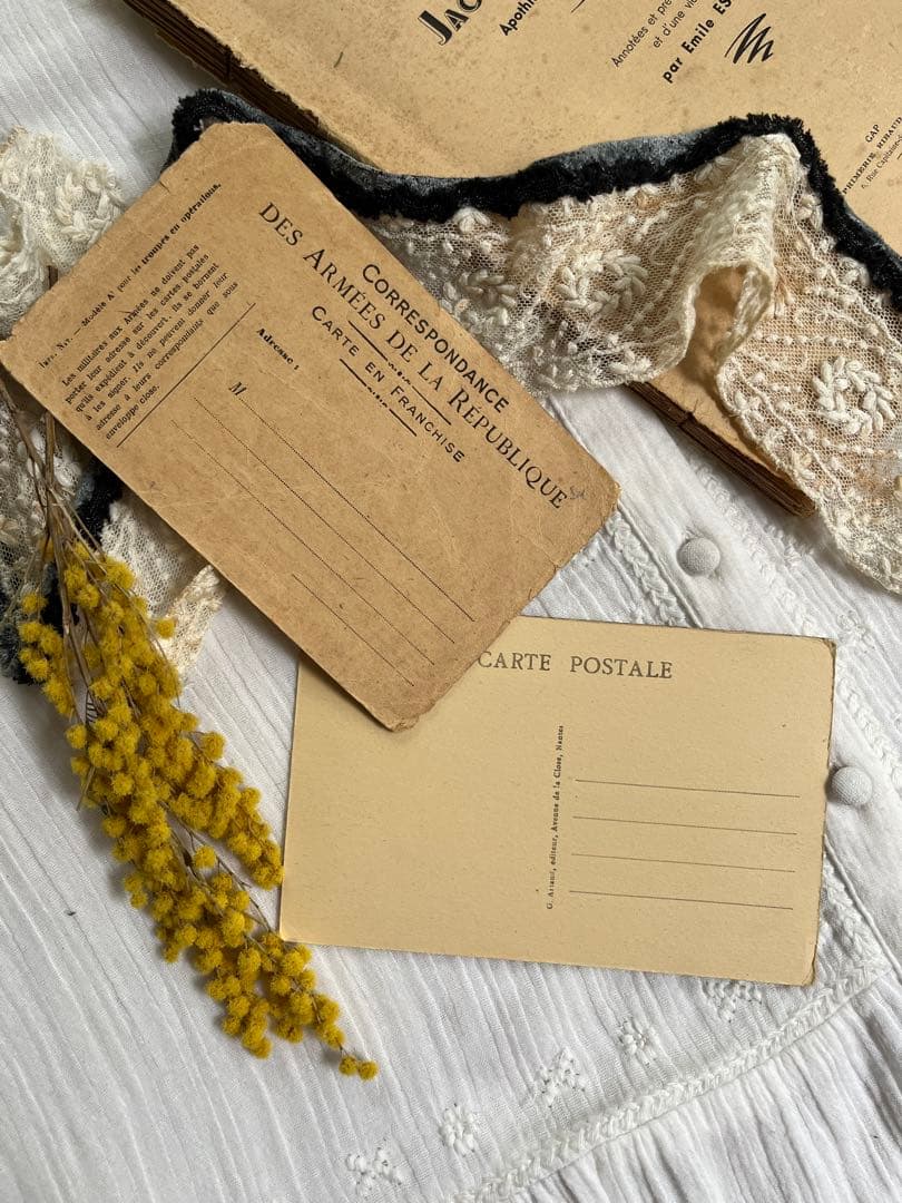 ◆SALE◆フランスアンティーク｜100年前古書教科書詩集手書きハガキ紙もの挿絵