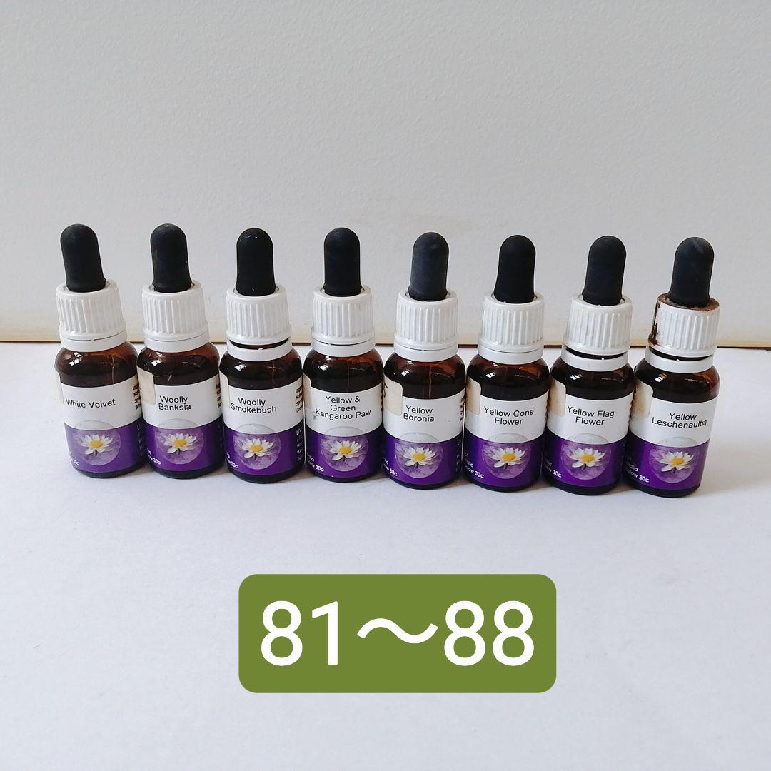 【難あり】88本ワールドフラワーエッセンス　花カード付き　レメディセット