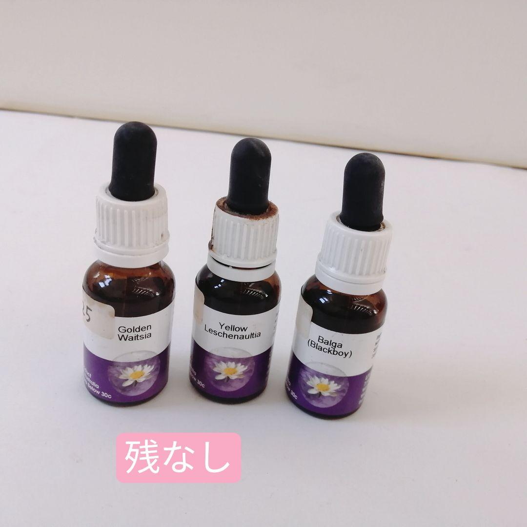 【難あり】88本ワールドフラワーエッセンス　花カード付き　レメディセット