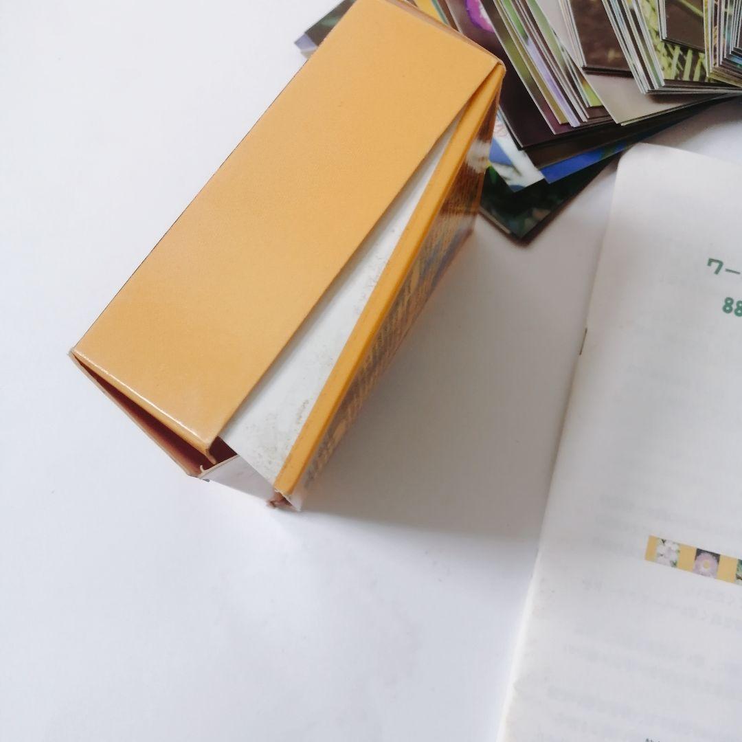 【難あり】88本ワールドフラワーエッセンス　花カード付き　レメディセット