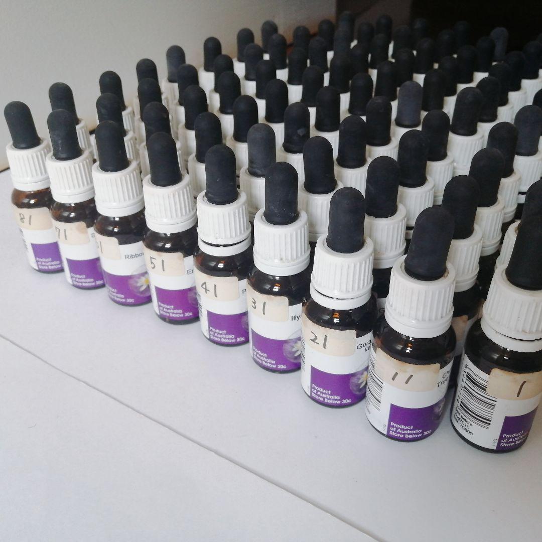 【難あり】88本ワールドフラワーエッセンス　花カード付き　レメディセット